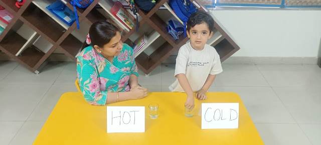 Hot and Cold Activity