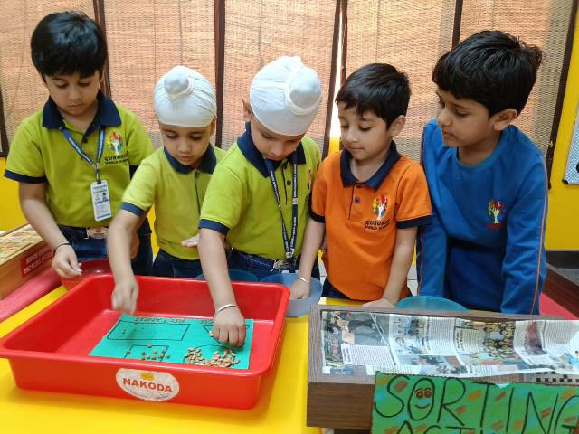 Sorting Activity | LKG